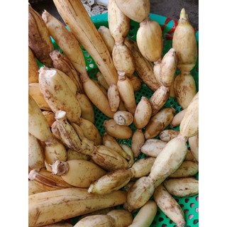 Củ sen sấy khô nguyên chất