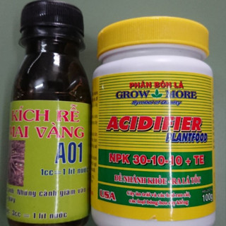 Combo kích rễ mai vàng A01 và kích chồi Growmore NPK 30-10-10 100gram dùng cho hoa mai vàng, cây kiểng, bonsai