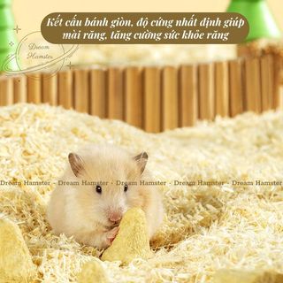 Bánh pudding dừa đông khô Yee cho hamster, rat, sóc bay, nhím,...