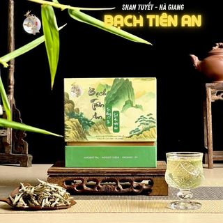  Trà Rừng THƯỢNG HẠNG Bạch Tiên An Cổ Thụ 300 Tuổi Hà Giang Chè Xanh Hữu Cơ Trà Đạo Hộp Quà Tặng 