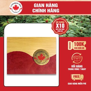 Nhân sâm Canada 5 năm tuổi nguyên củ khô - Hộp quà tặng cao cấp 100g