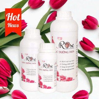 Nước dưỡng hoa Rose cắm hoa giữ hoa tươi lâu và quyến rũ