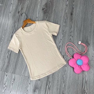 Áo phông nữ đẹp chất tăm hàn co giãn 4 chiều