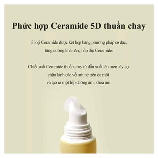 Son Dưỡng Hồng Môi Torriden Solid In Ceramide Lip Essence 11ml