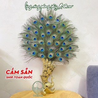 Bình CẮM SẴN lông công BC01 và 36 cành lông công mắt 3-4cm