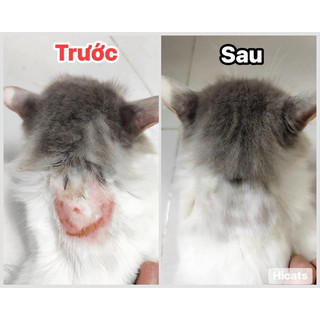 Xịt viêm da thảo dược cho chó mèo