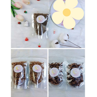 Sâu gạo rang cho Hamster (mini, trung, superworm)