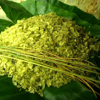 Cốm Tú Lệ không nhuộm phẩm màu, đặc sản Yên Bái - 1kg