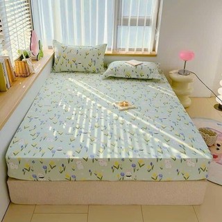 Bộ ga gối đũi 3 món xơ đậu soyabean ga chun kèm 2 vỏ gối nằm