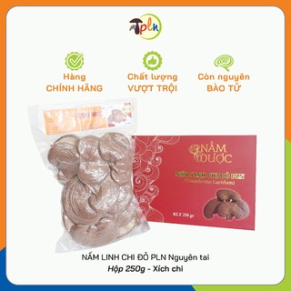 Nấm linh chi đỏ pln - nguyên tai. hộp 250g - xích chi