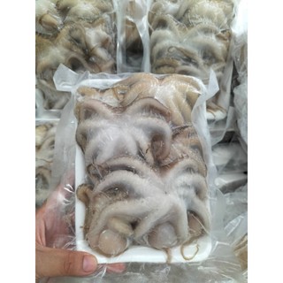 Bạch tuộc sữa khay 500g NET 400gr , hải sản, dinh dưỡng, giao hoả tốc, chiên, nướng, thả lẩu