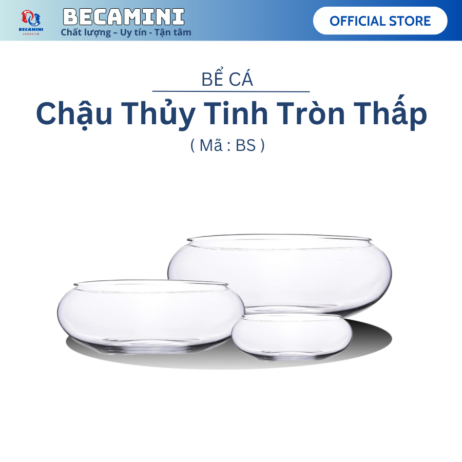 Bể cá mini, bể cá TRÒN THẤP( CHỌN MẪU) ki