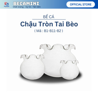 Bể cá mini TAI BÈO chọn kích thước có tặng phụ kiện