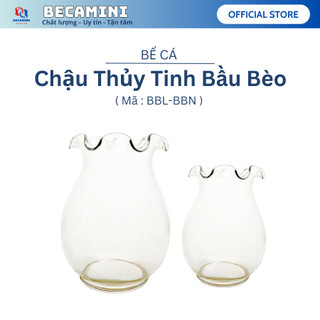 Chậu thủy tinh mini tai bèo , bể cá mini để bàn