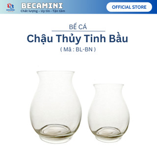 Chậu thủy tinh để bàn , chậu bầu