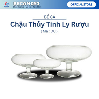 Bể cá mini để bàn ( DẠNG LY THẤP), chậu thủy tinh trang trí
