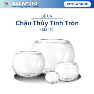 Bể cá mini TRÒN( TẶNG PHỤ KIỆN), chậu cá thủy tinh chọn mẫu