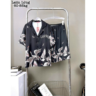 Bộ đồ Lửng lụa latin bigsize 200