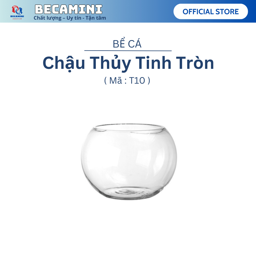 Chậu thủy tinh , bể cá mini tròn 10cm
