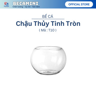Chậu thủy tinh , bể cá mini tròn 10cm