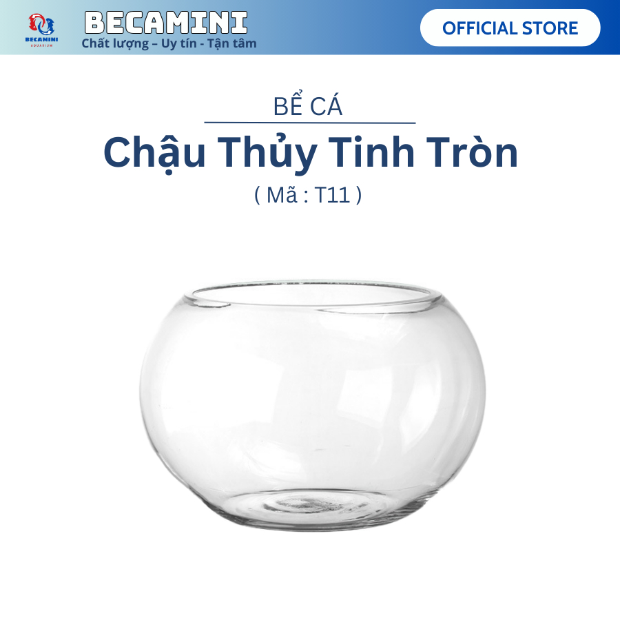 Bể cá mini để bàn tròn T11