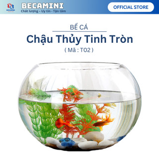 Bể cá mini TRÒN LOẠI LỚN( T02), chậu thủy tinh nuôi cá tặng phụ kiện trang trí