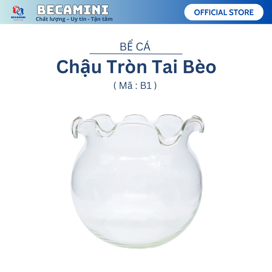 Bể cá mini tai bèo B