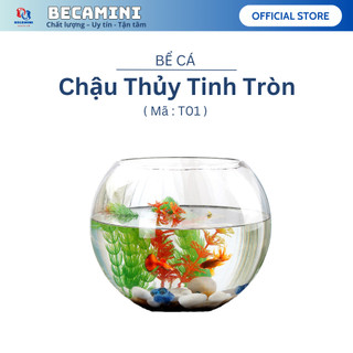 Chậu thủy tinh , bể cá mini tròn cao 12cm ngang 14cm