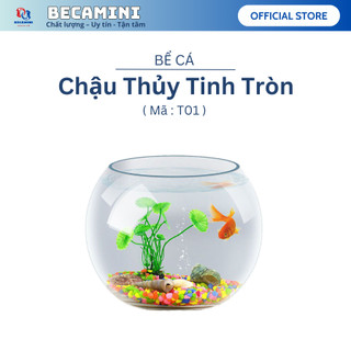 Bể cá mini tròn , chậu thủy tinh tròn 15cm