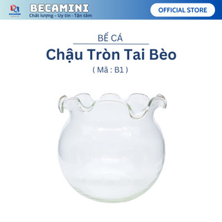 [Tặng phụ kiện ] Chậu thủy tinh tai bèo, bể cá mini 15cm