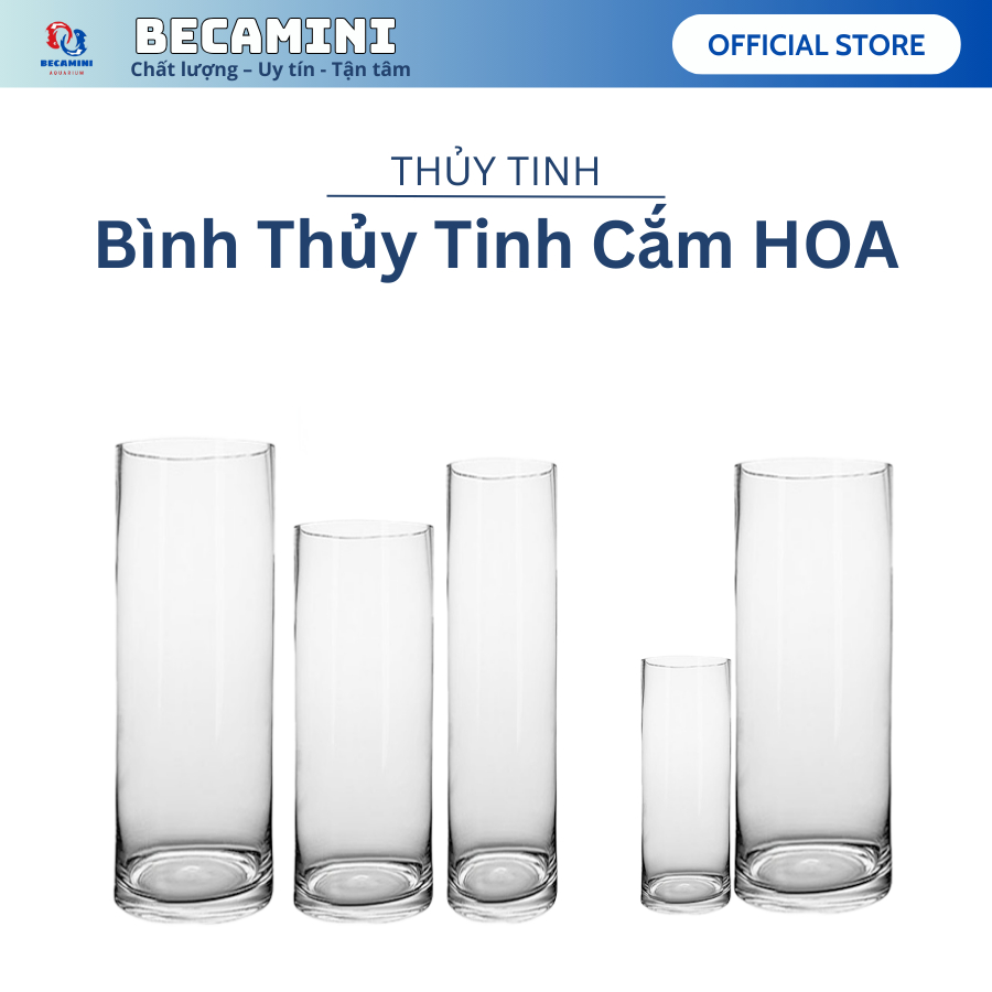 Chậu thủy tinh cắm hoa