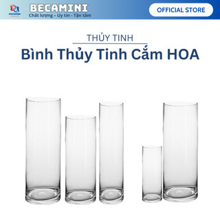 Chậu thủy tinh cắm hoa