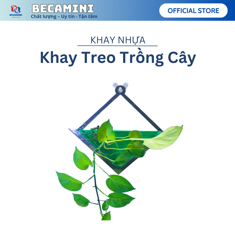 Bể cá mini treo tường , trồng cây treo tường tam giác . tặng phụ kiện