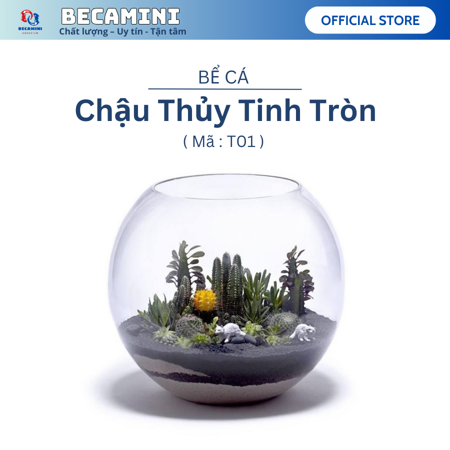 Bể cá mini để bàn tròn - Tặng phụ kiện (T-01)