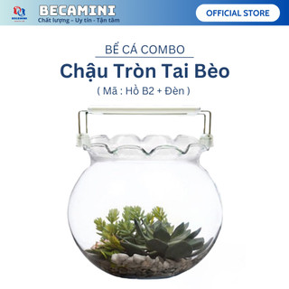 Bể cá mini tai bèo COMBO Hồ Đèn, châu cá thủy sinh tặng phụ kiện trang trí