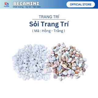 Sỏi hồ cá ( Chon Màu ) , Sỏi trang trí bể cá 1KG