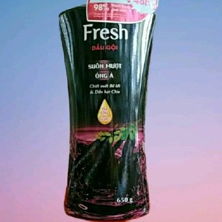 DẦU GỘI SUÔN MƯỢT SUỐT 48H FRESH BỒ KẾT THIÊN NHIÊN VÀ DẦU HẠT CHIA