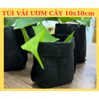 Túi vải ươm cây chậu vải ươm cây, túi ươm bầu cây