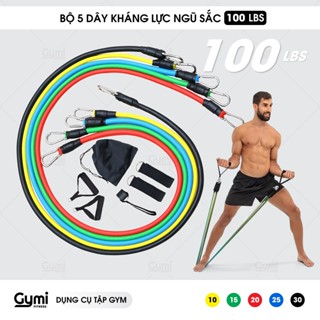 [11 phụ kiện] Bộ 5 Dây Ngũ Sắc Tập Full Body - Dụng Cụ Tập Gym Kháng Lực