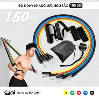 [150LBS + 11 Phụ Kiện] Bộ 5 Dây Ngũ Sắc Kháng Lực Nặng Đô Tập Thể Hình Toàn Thân Kèm Neo Cửa, Đá Đùi