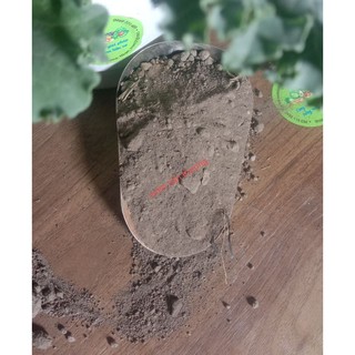 Gói 5 kg Đất Thịt Trồng Cây, Rau , Củ Quả... (Được Tặng 100gr Phân Gà Viên) Đất Trồng Cây Bonsai, Hoa