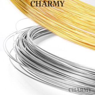 Dây thép không gỉ T100, phụ kiện làm vòng, nhẫn handmade DIY - Charmy