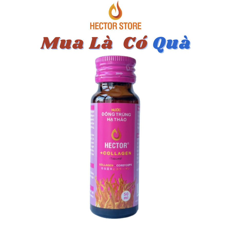 Hector đông trùng hạ thảo nước kết hợp Collagen Hector Store VN