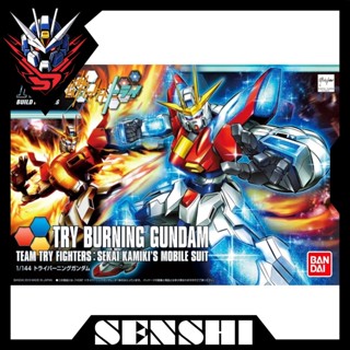 Mô hình lắp ráp HG BF Try Burning Gundam