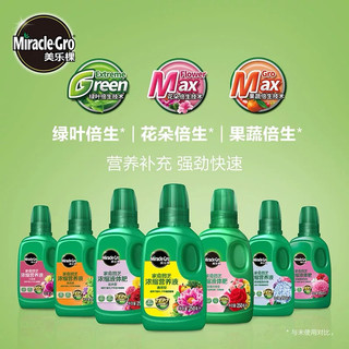 Phân bón hoa hồng-Miracle Gro giải pháp dinh dưỡng tối ưu