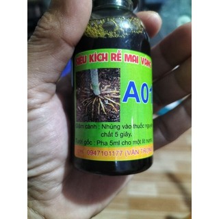 Kích rễ mai vàng A01