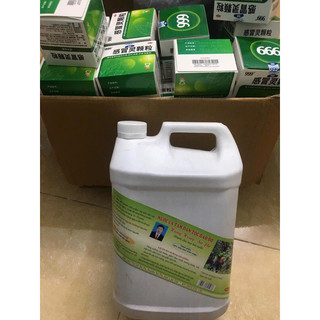 Nước tắm dao đỏ hùng hồng sa pa