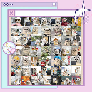 Sticker mèo 10/20/30 meme siêu dễ thương