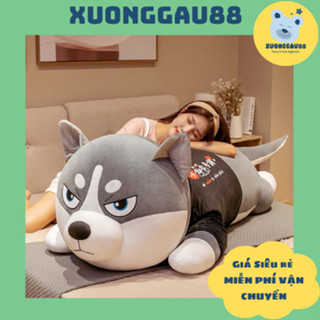 Đồ Chơi Thú gấu nhồi bông Gối ôm hình chó ngáo husky 70cm, 1m, 1m2,1m5 nhồi bông cao cấp