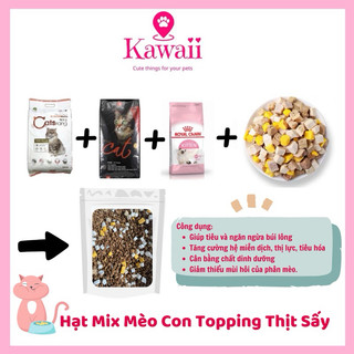 Hạt Mix dinh dưỡng cho mèo PHIÊN BẢN MỚI kèm topping thịt sấy lạnh